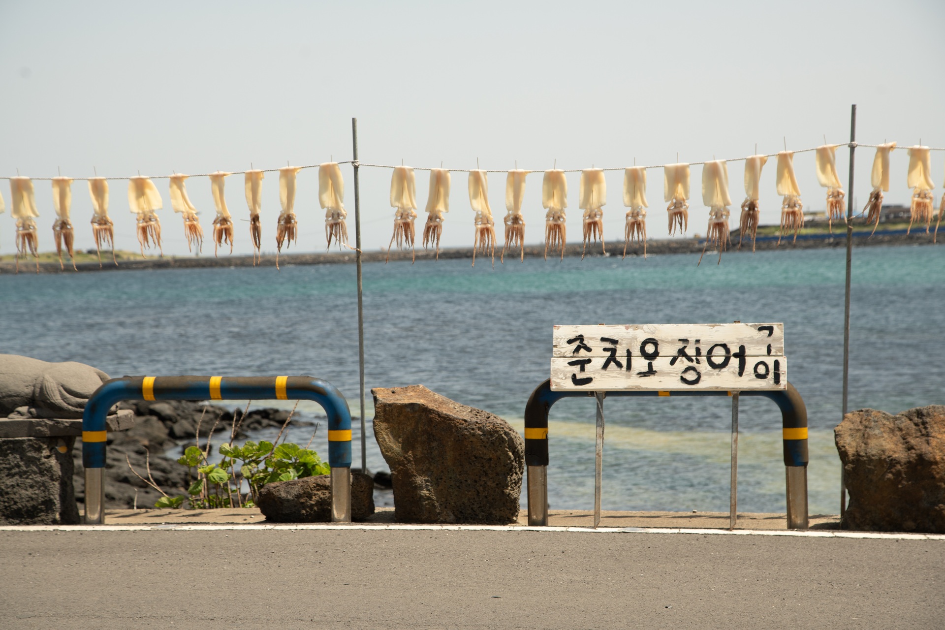 Jeju Haenyeo 4